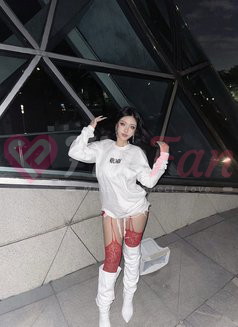 Emily Mixed Thai & Japan – Thai escort in Bangkok - ไซด์ไลน์ - 69fc26970c66f_emily-mixed-thai-japan-thai-escort-in-bangkok-13861736_listing - fiwfans