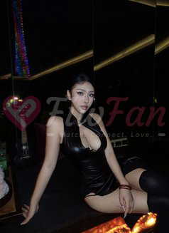 Emily Mixed Thai & Japan – Thai escort in Bangkok - ไซด์ไลน์ - 69fc26970c66f_emily-mixed-thai-japan-thai-escort-in-bangkok-13861736_listing - fiwfans