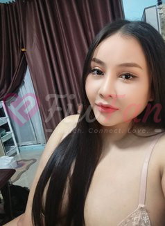 Kuga bkk – Thai escort in Bangkok - ไซด์ไลน์ - 69fc2d084772c_kuga-bkk-thai-escort-in-bangkok-14359856_listing - fiwfans