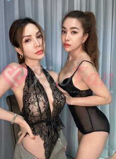 Annie lady Thailand incall3000 – Thai escort in Bangkok - ไซด์ไลน์ - 69fc342f7577e_annie-incall3000-outcall3500-thai-escort-in-bangkok-11176840_listing - fiwfans