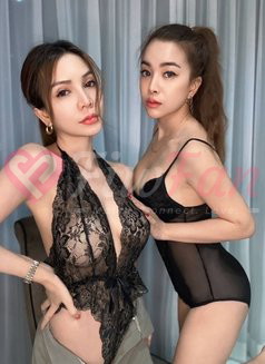 Annie lady Thailand incall3000 – Thai escort in Bangkok - ไซด์ไลน์ - 69fc342f7577e_annie-incall3000-outcall3500-thai-escort-in-bangkok-11176840_listing - fiwfans