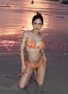 Babygirl Ivana – Spanish escort in Bangkok - ไซด์ไลน์ - 6a080ee8e1824_babygirl-ivana-spanish-escort-in-manila-11151938_listing - fiwfans
