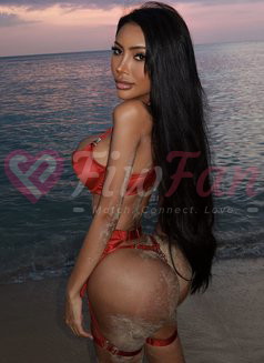 Only Nadia🇧🇷 – Thai escort in Bangkok - ไซด์ไลน์ - 6a084190417bf_only-nadia-thai-escort-in-bangkok-14168514_listing - fiwfans
