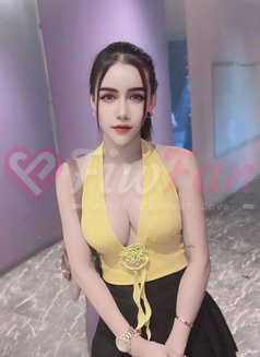 BKK Escorts 4 You (250+ ladies) – Thai escort agency in Bangkok - ไซด์ไลน์ - 6a08682f94579_bkk-escorts-4-you-250-ladies-thai-escort-in-bangkok-12664342_listing - fiwfans