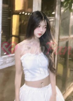 BKK Escorts 4 You (250+ ladies) – Thai escort agency in Bangkok - ไซด์ไลน์ - 6a08682f94579_bkk-escorts-4-you-250-ladies-thai-escort-in-bangkok-12664342_listing - fiwfans