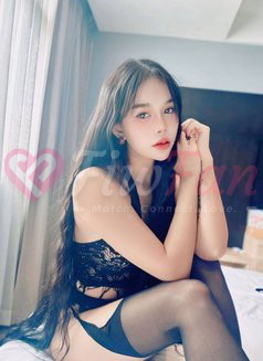 BKK Escorts 4 You (250+ ladies) – Thai escort agency in Bangkok - ไซด์ไลน์ - 6a08682f94579_bkk-escorts-4-you-250-ladies-thai-escort-in-bangkok-12664342_listing - fiwfans