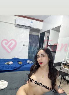 Sophia (studentpinkishhornyPussy) – Malaysian escort in Bangkok - ไซด์ไลน์ - 6a0ae4ad88835_sophia-studentpinkishhornypussy-malaysian-escort-in-bangkok-13739788_listing - fiwfans