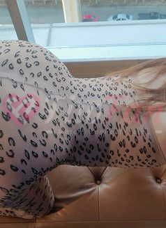Linda Fulfills your Fantasies in Bangkok – Thai escort in Bangkok - ไซด์ไลน์ - 6a0b0b957c8bf_linda-fulfills-your-fantasies-in-bangkok-thai-escort-in-bangkok-11357486_listing - fiwfans