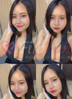 (Blow job only) Zomzom Cutie Chubby – Thai escort in Bangkok - ไซด์ไลน์ - 6a0d4ff280cd4_zomzom-cutie-chubby-thai-gfe-thai-escort-in-bangkok-12759140_listing - fiwfans