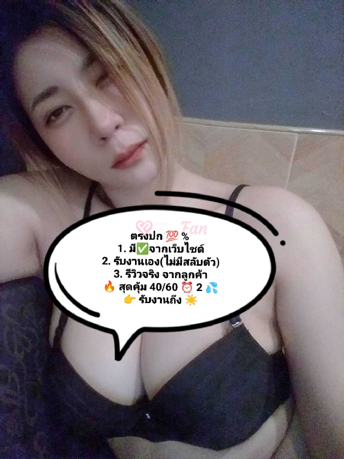 คิสแคท-6a1eb12c79dc4_14416-fiwfans 2