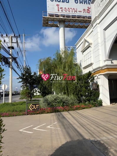 feed-image-1